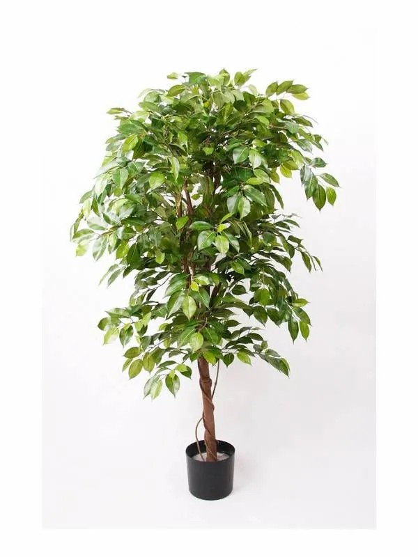 Ficus tree | Artificial Ficus Benjamina Bartolo, Real Stem, Green, 6Ft/170Cm Artificial Trees Ficus tree