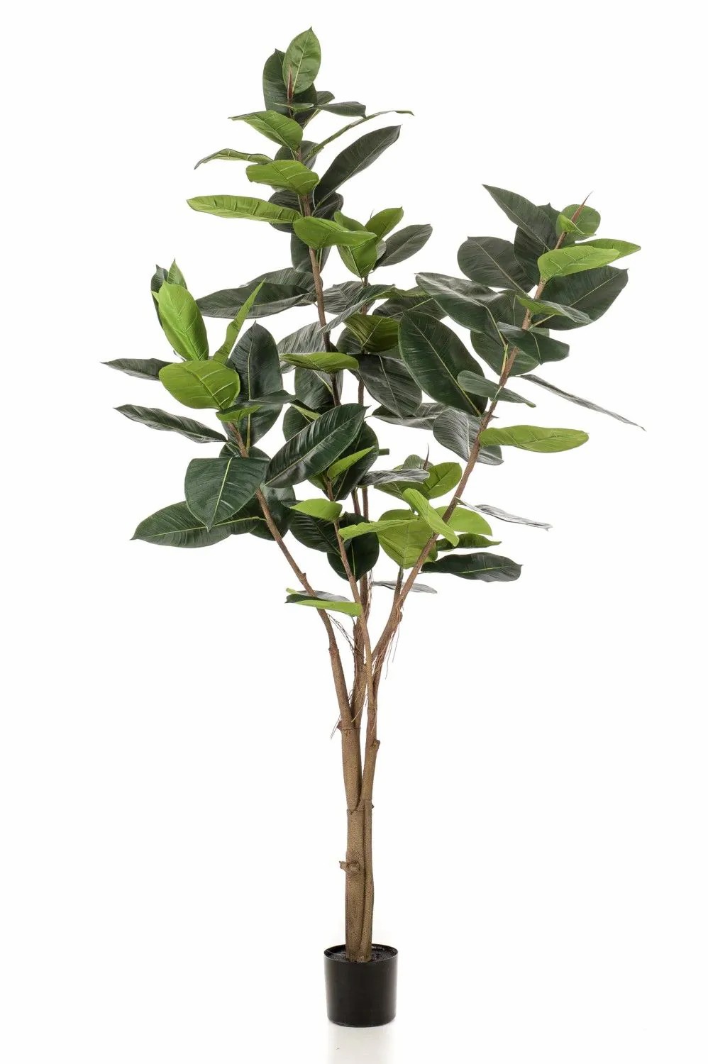 Ficus tree | Artificial Ficus Elastica Tree Feria, Artificial Trunk, Green, 7Ft/210Cm Artificial Trees Ficus tree