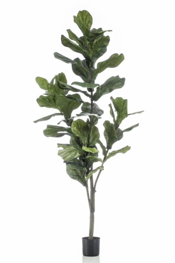 Ficus tree | Artificial Ficus Lyrata Enriko, Artificial Stem, Green, 5Ft/150Cm Artificial Trees Ficus tree