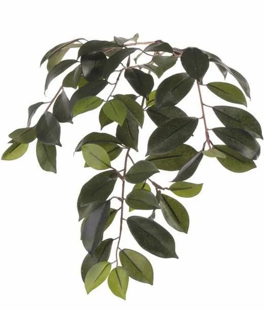 Ficus tree | Artificial Ficus Microcarpa Branch Bhao, Green, 26"/65Cm Artificial Trees Ficus tree