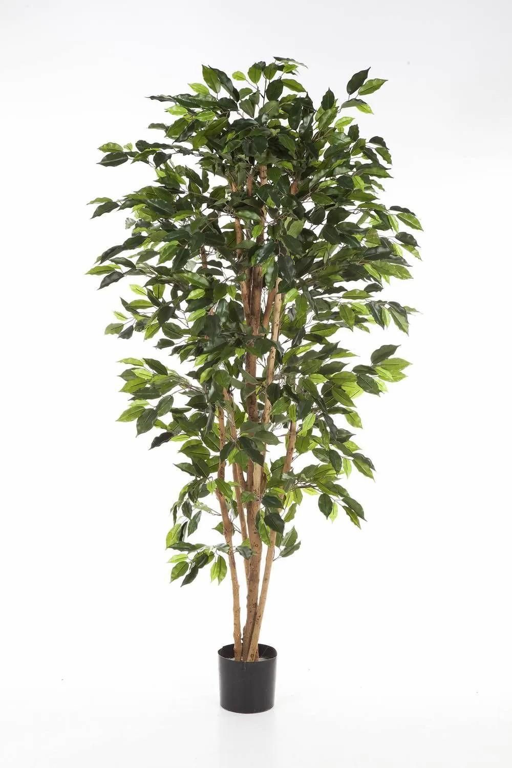 Ficus tree | Artificial Ficus Tree Avellino, Real Stems, Green, 6Ft/180Cm Artificial Trees Ficus tree