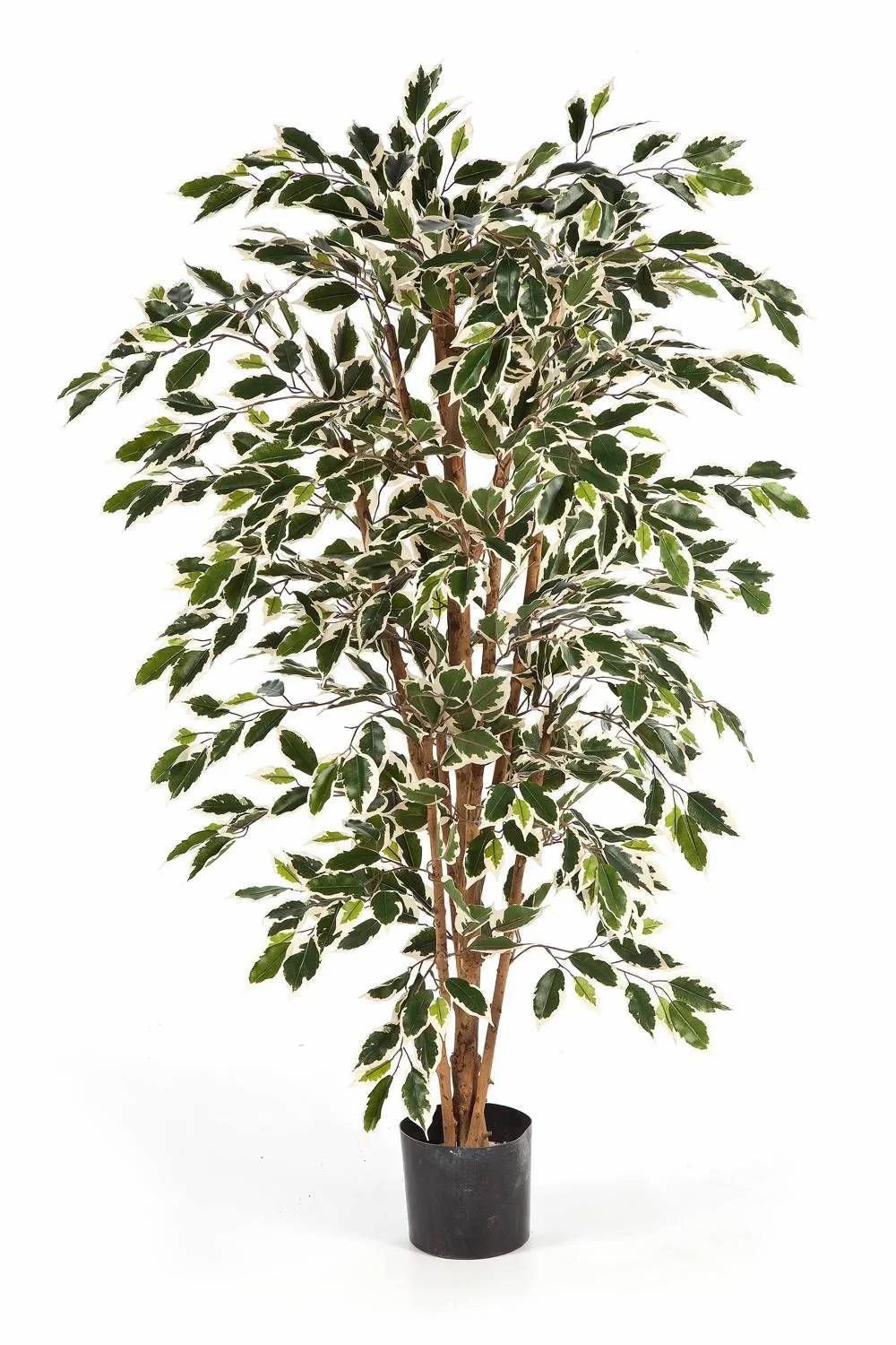 Ficus tree | Artificial Ficus Tree Avellino, Real Stems, Green-White, 4Ft/120Cm Artificial Trees Ficus tree