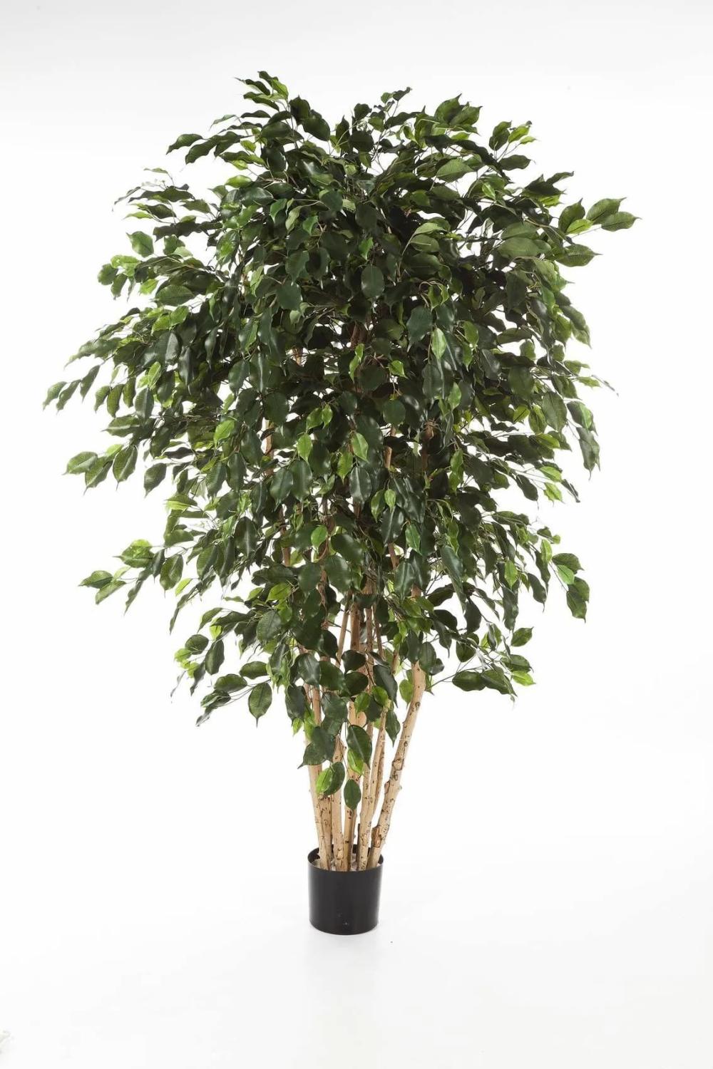 Ficus tree | Artificial Ficus Tree Darel, Real Stems, Green, 6Ft/180Cm Artificial Trees Ficus tree