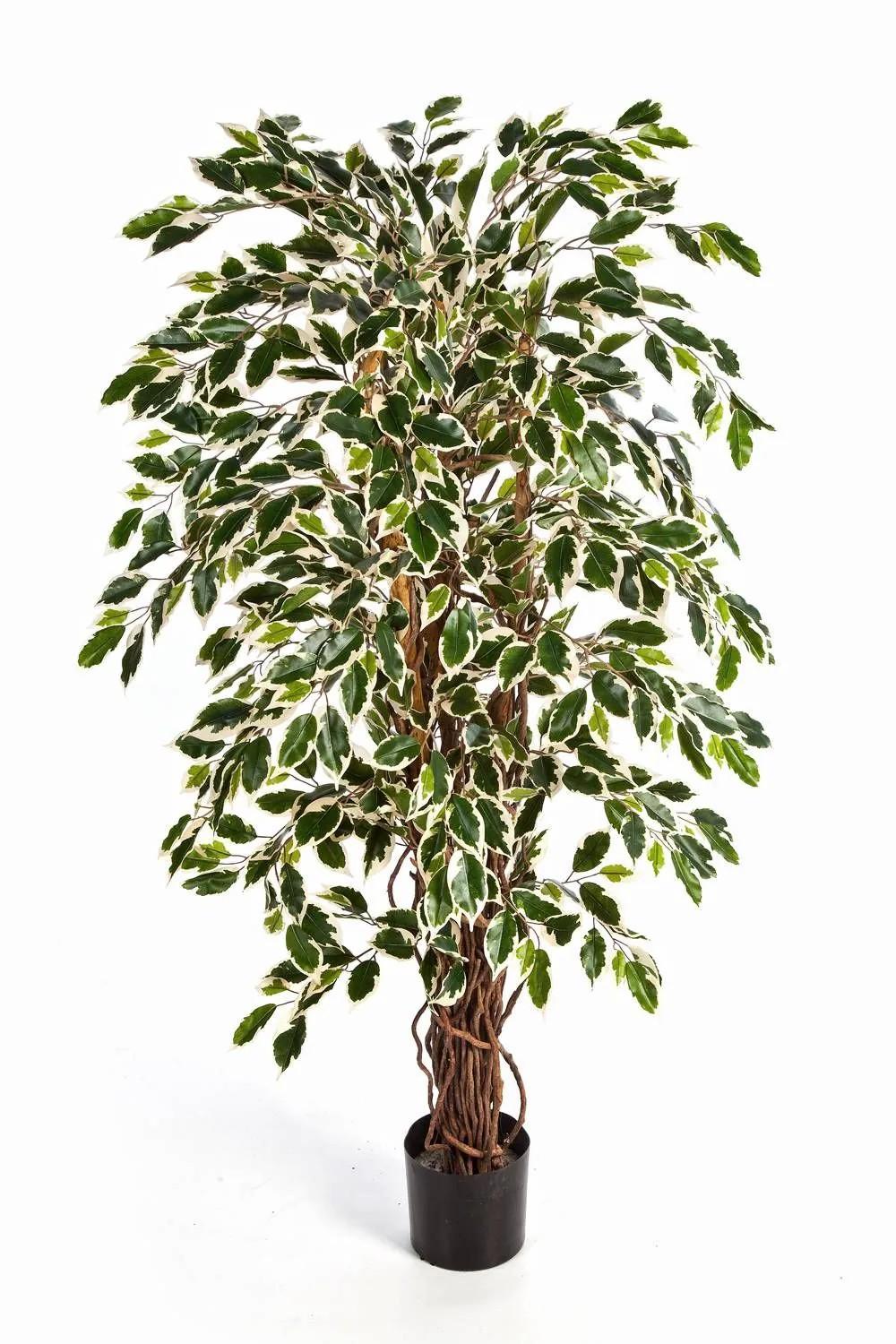 Ficus tree | Artificial Ficus Tree Jarlan, Real Stems, Green-White, 4Ft/120Cm Artificial Trees Ficus tree