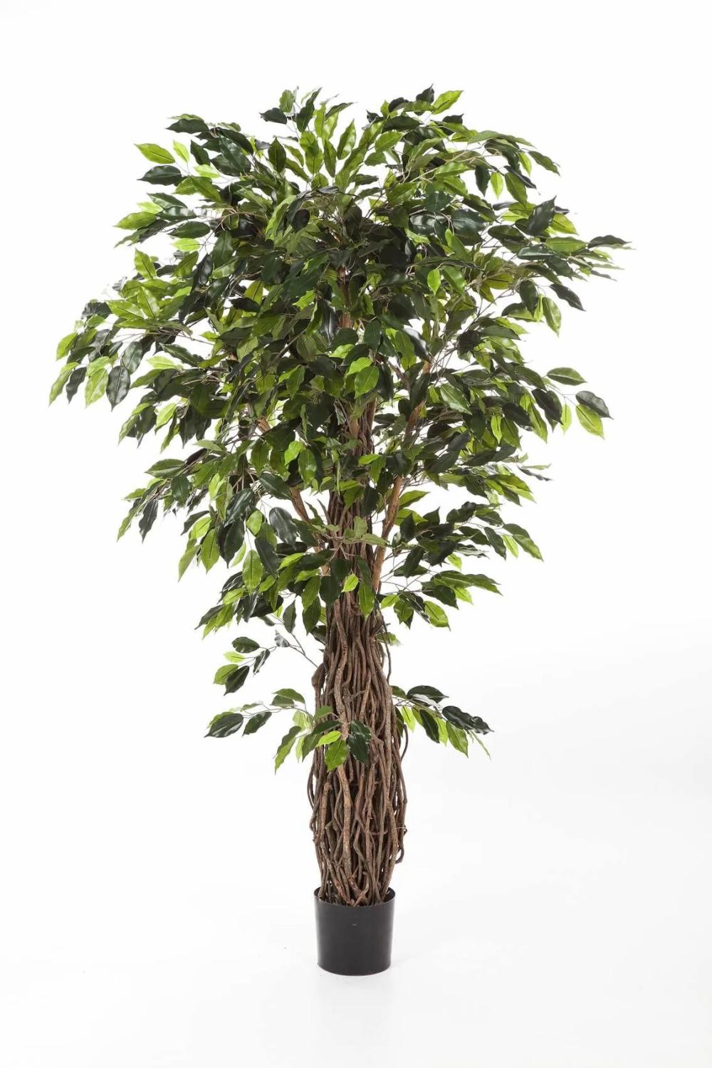 Ficus tree | Artificial Ficus Tree Phipso, Real Stems, Green, 11Ft/330Cm Artificial Trees Ficus tree