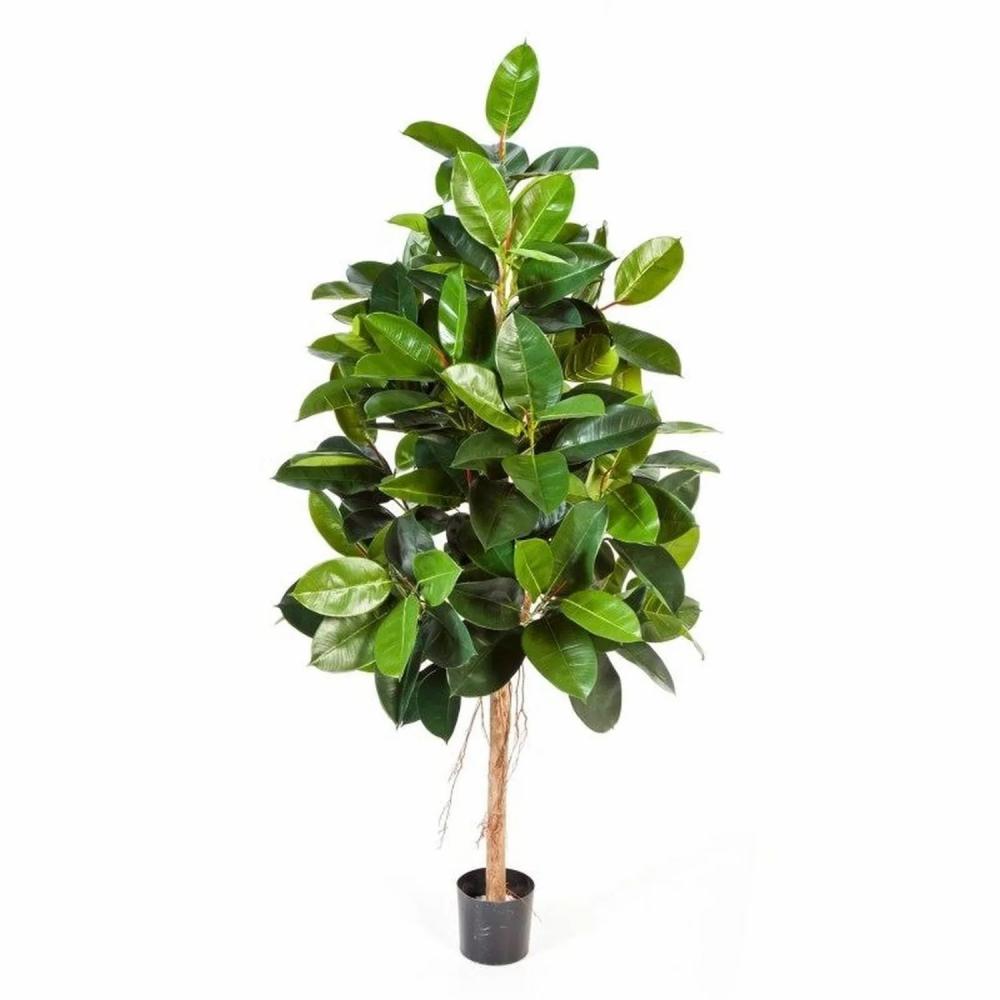 Ficus tree | Artificial Rubber Tree Devi, Natural Trunk, Green, 5Ft/140 Cm Artificial Trees Ficus tree