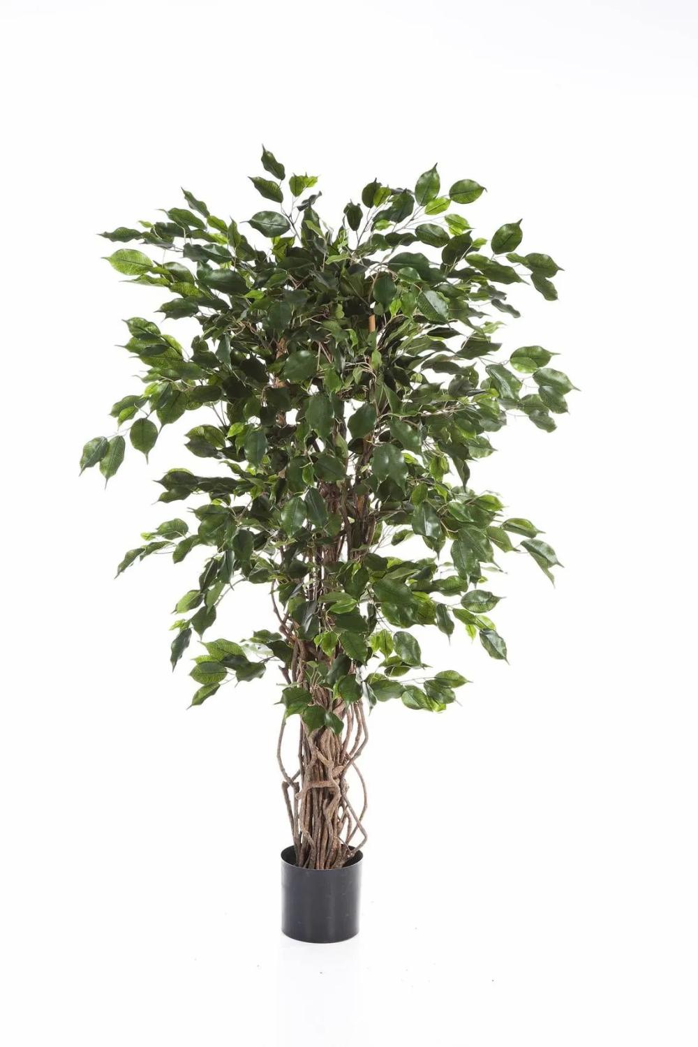 Ficus tree | Fake Ficus Tree Amelio, Natural Stems, Green, 5Ft/150Cm Artificial Trees Ficus tree