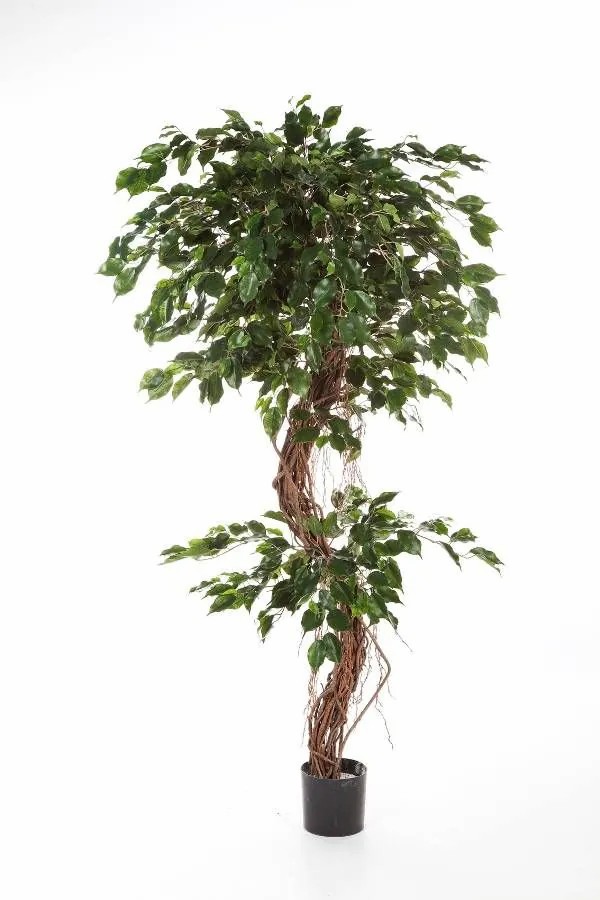 Ficus tree | Fake Ficus Tree Luano, Natural Stems, Green, 7Ft/210Cm Artificial Trees Ficus tree