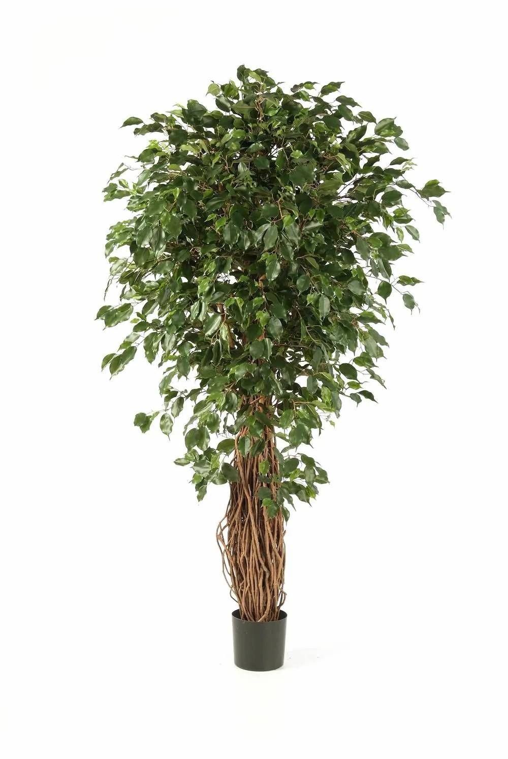 Ficus tree | Fake Ficus Tree Lucius, Real Stems, Green, 4Ft/120Cm Artificial Trees Ficus tree