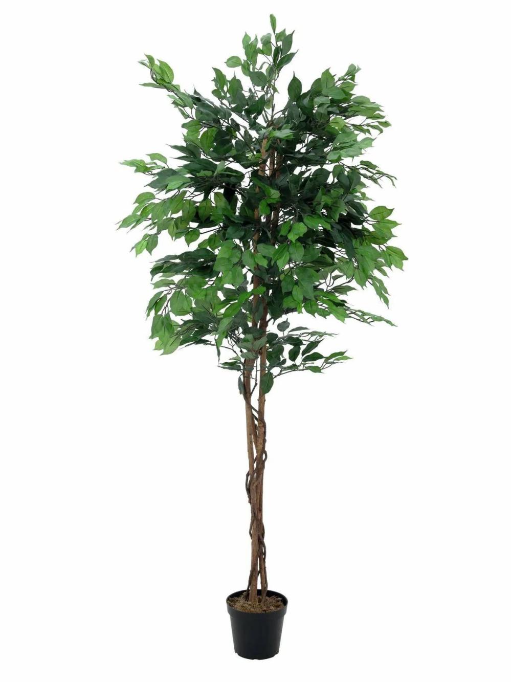 Ficus tree | Plastic Ficus Benjamina Jacopo, Natural Stems, Green, 5Ft/150Cm Artificial Trees Ficus tree