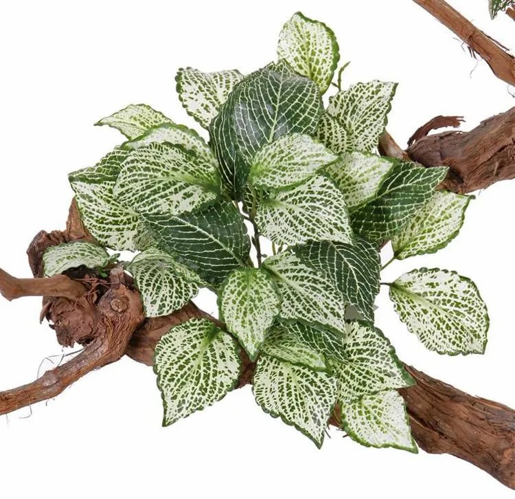 Fittonia | Fake Mosaic Plant Molara On Spike, Green-White, 10"/25Cm Artificial Plants Fittonia