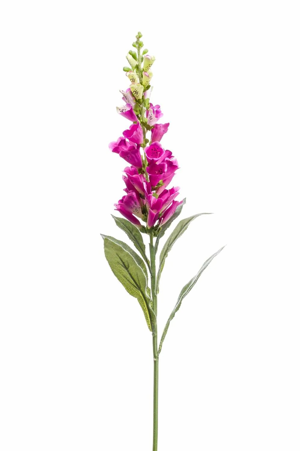 Foxglove | Artificial Foxglove Lobeira, Pink, 3Ft/90Cm Artificial Flowers Foxglove