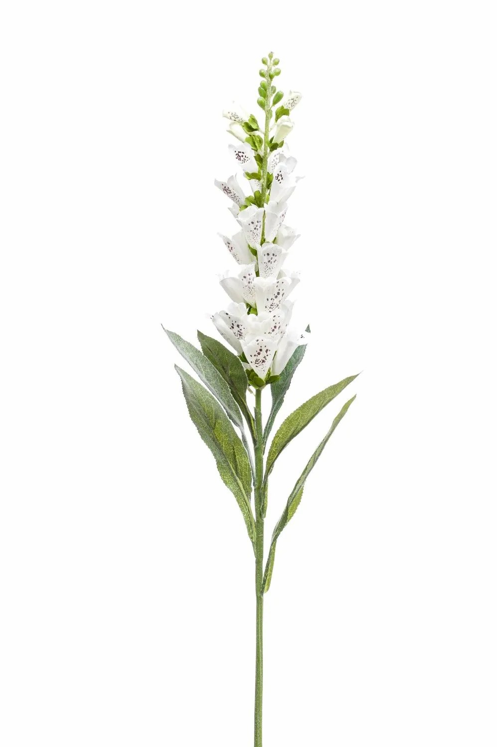 Foxglove | Artificial Foxglove Lobeira, White, 3Ft/90Cm Artificial Flowers Foxglove