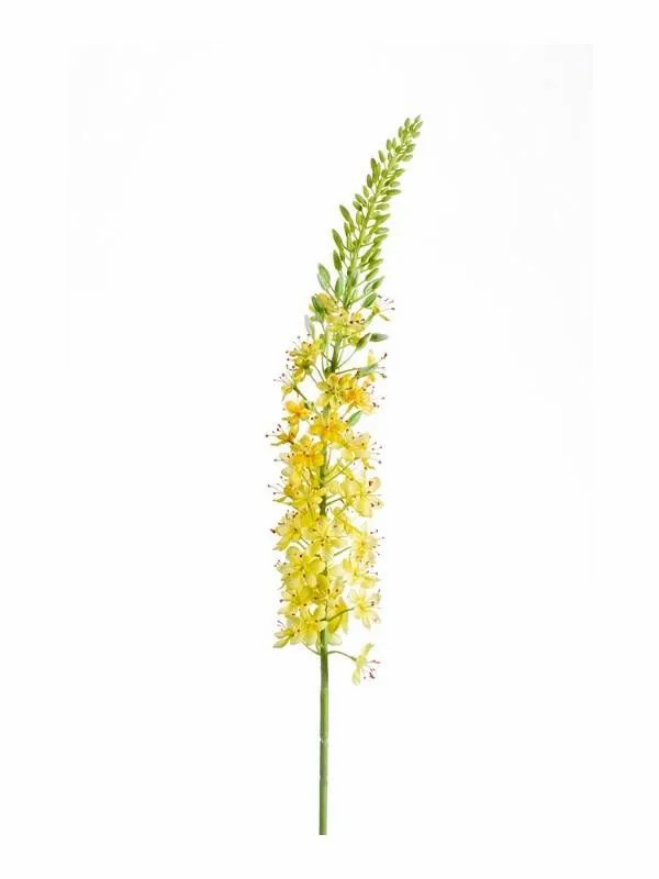 Foxtail lily | Artificial Flower Eremurus Aomori, Yellow, 3Ft/105Cm Artificial Flowers Foxtail lily