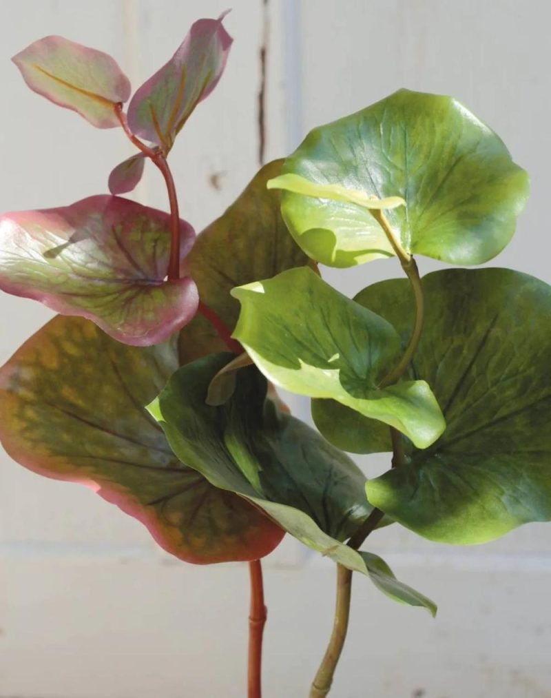 Galax leaves | Artificial Galax Leaf Graciano, Green, 16"/40Cm Artificial Plants Galax leaves