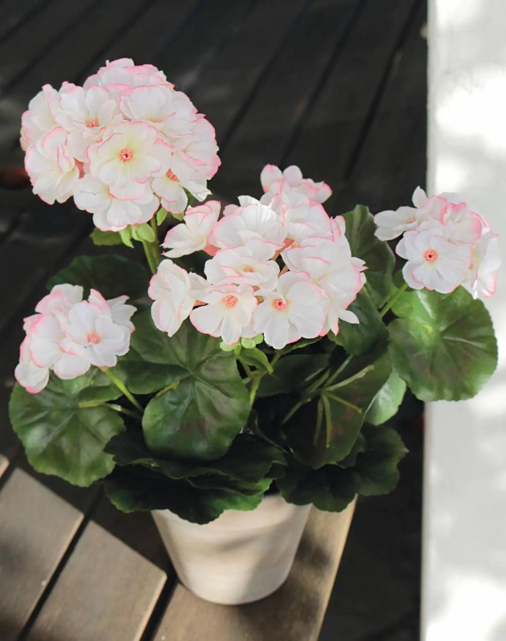 Geranium | Artificial Geranium Aischa In Decorative Pot, White-Pink, 14"/35Cm, Ø2.4"-3.1"/6-8Cm Artificial Flowers Geranium