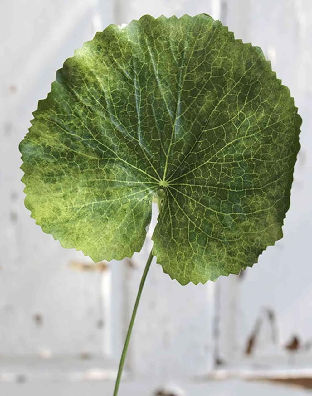 Geranium | Artificial Geranium Leaf Heidegard, Green, 15"/38Cm, Ø5.1"/13Cm Artificial Flowers Geranium