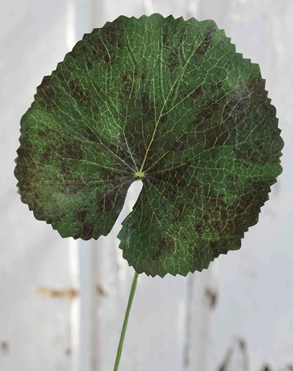 Geranium | Artificial Geranium Leaf Heidegard, Green-Red, 15"/38Cm, Ø5.1"/13Cm Artificial Flowers Geranium