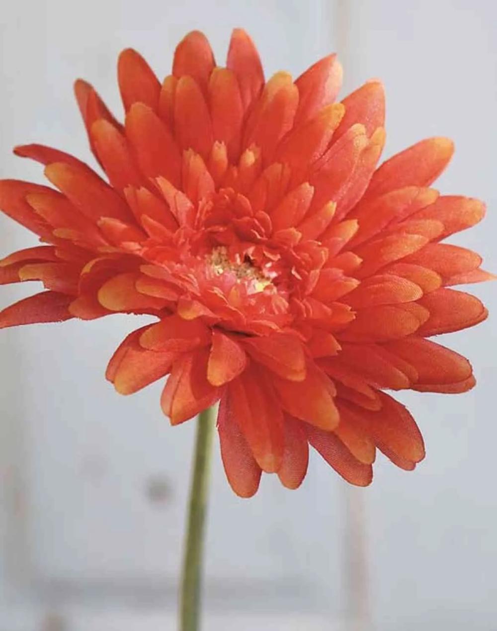 Gerbera | Artificial Gerbera Aitana, Orange, 22"/55Cm Artificial Flowers Gerbera