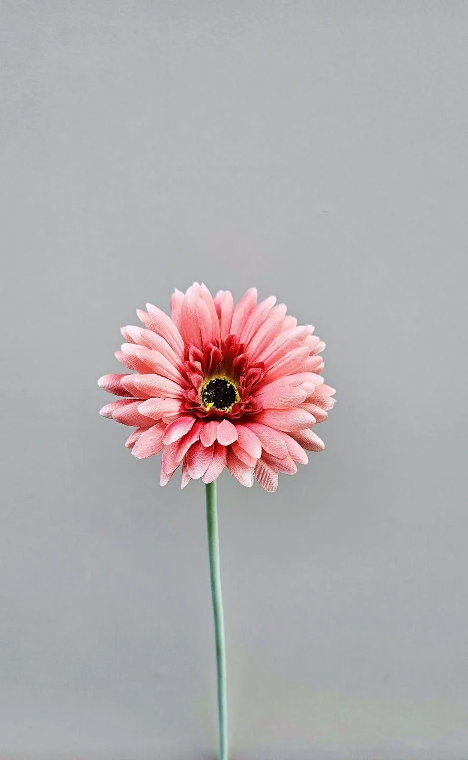 Gerbera | Artificial Gerbera Flower Teudelinde, Dusky Pink, 22"/55Cm, Ø3.1"/8Cm Artificial Flowers Gerbera