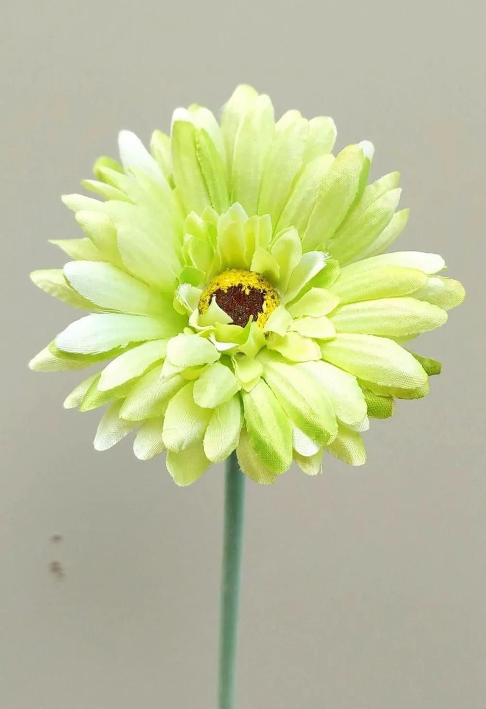 Gerbera | Artificial Gerbera Flower Teudelinde, Green-Cream, 22"/55Cm, Ø3.1"/8Cm Artificial Flowers Gerbera