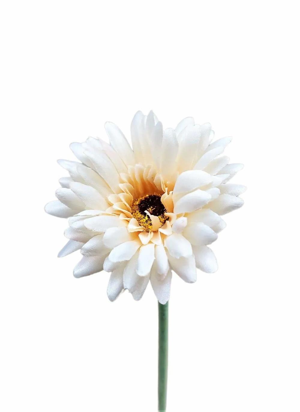 Gerbera | Artificial Gerbera Flower Teudelinde, White-Cream, 22"/55Cm, Ø3.1"/8Cm Artificial Flowers Gerbera