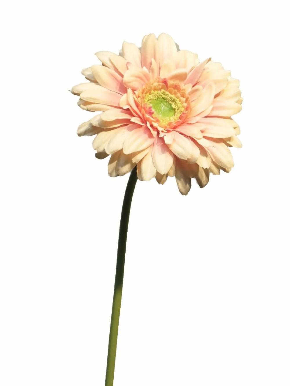 Gerbera | Artificial Gerbera Qiudong, Peach-Pink, 20"/50Cm Artificial Flowers Gerbera