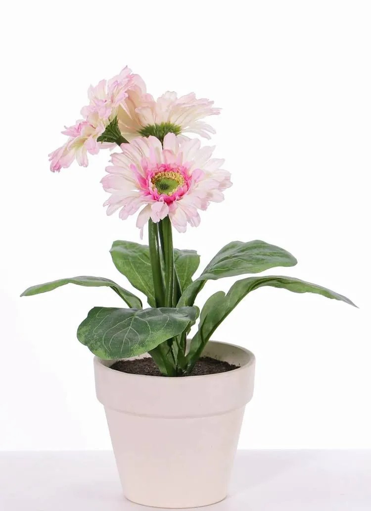 Gerbera | Artificial Gerbera Simone In Decorative Pot, Pink, 12"/30Cm, Ø3.7"/9,5Cm Artificial Flowers Gerbera