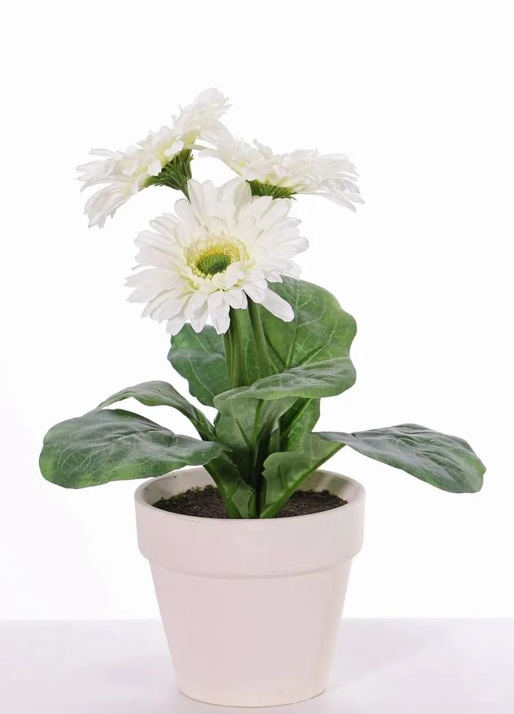 Gerbera | Artificial Gerbera Simone In Decorative Pot, White, 12"/30Cm, Ø3.7"/9,5Cm Artificial Flowers Gerbera