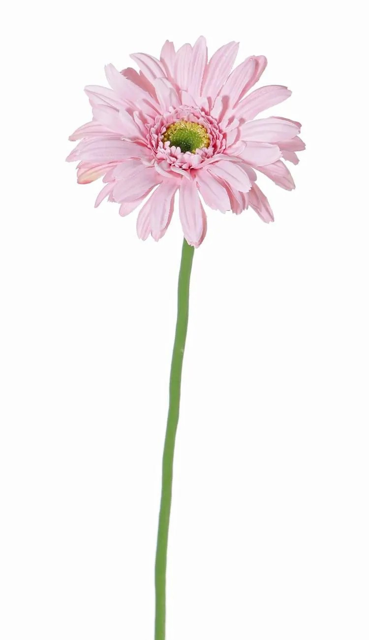 Gerbera | Silk Gerbera Helli, Pink, 26"/65Cm, Ø4.7"/12Cm Artificial Flowers Gerbera