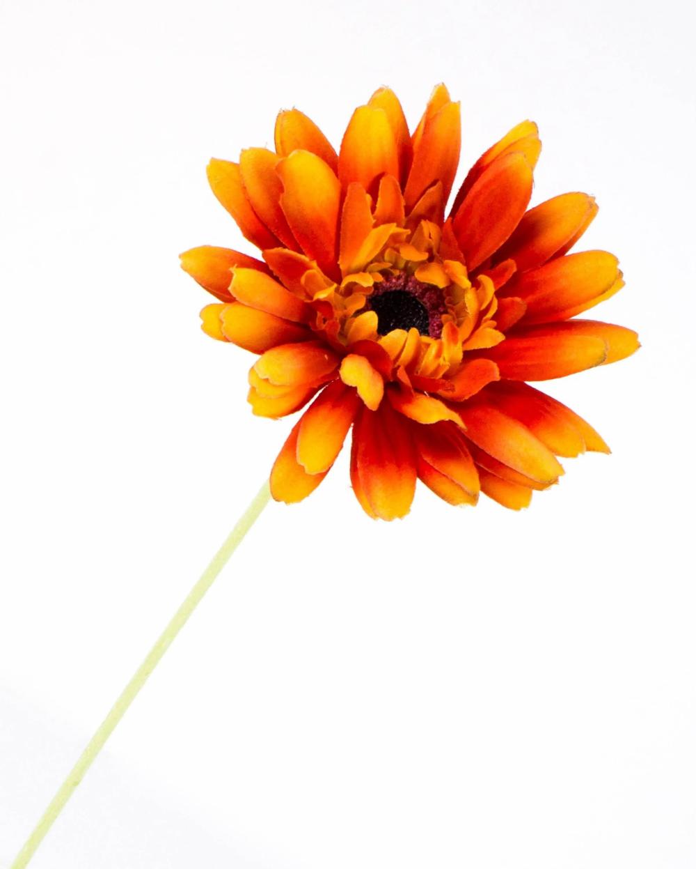 Gerbera | Silk Gerbera Spray Virginia, Orange, 22"/55Cm, Ø4.3"/11Cm Artificial Flowers Gerbera