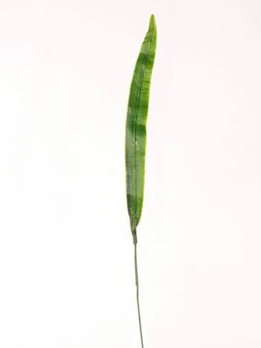 Gladiolus | Artificial Gladiola Leaf Juno, Green, 16"/40Cm Artificial Flowers Gladiolus