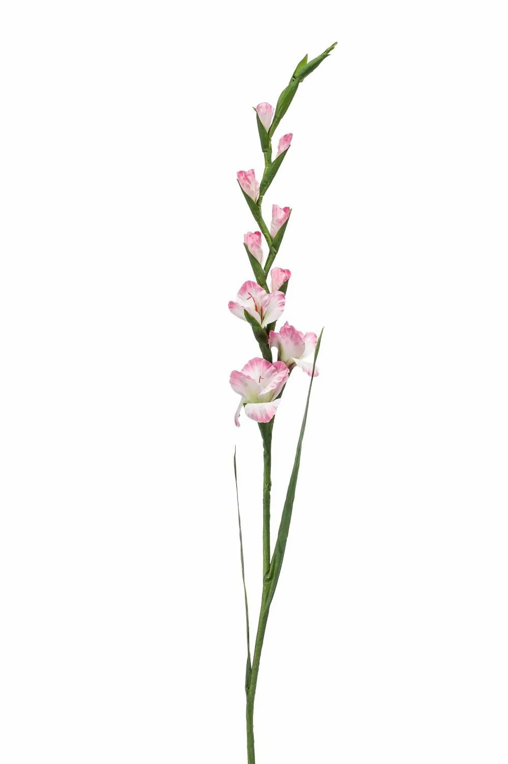 Gladiolus | Artificial Gladiolus Ajnur, Pink-White, 4Ft/125 Cm Artificial Flowers Gladiolus