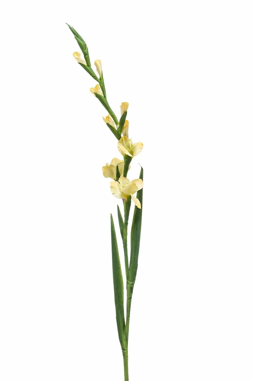 Gladiolus | Artificial Gladiolus Ajnur, Yellow, 4Ft/125 Cm Artificial Flowers Gladiolus