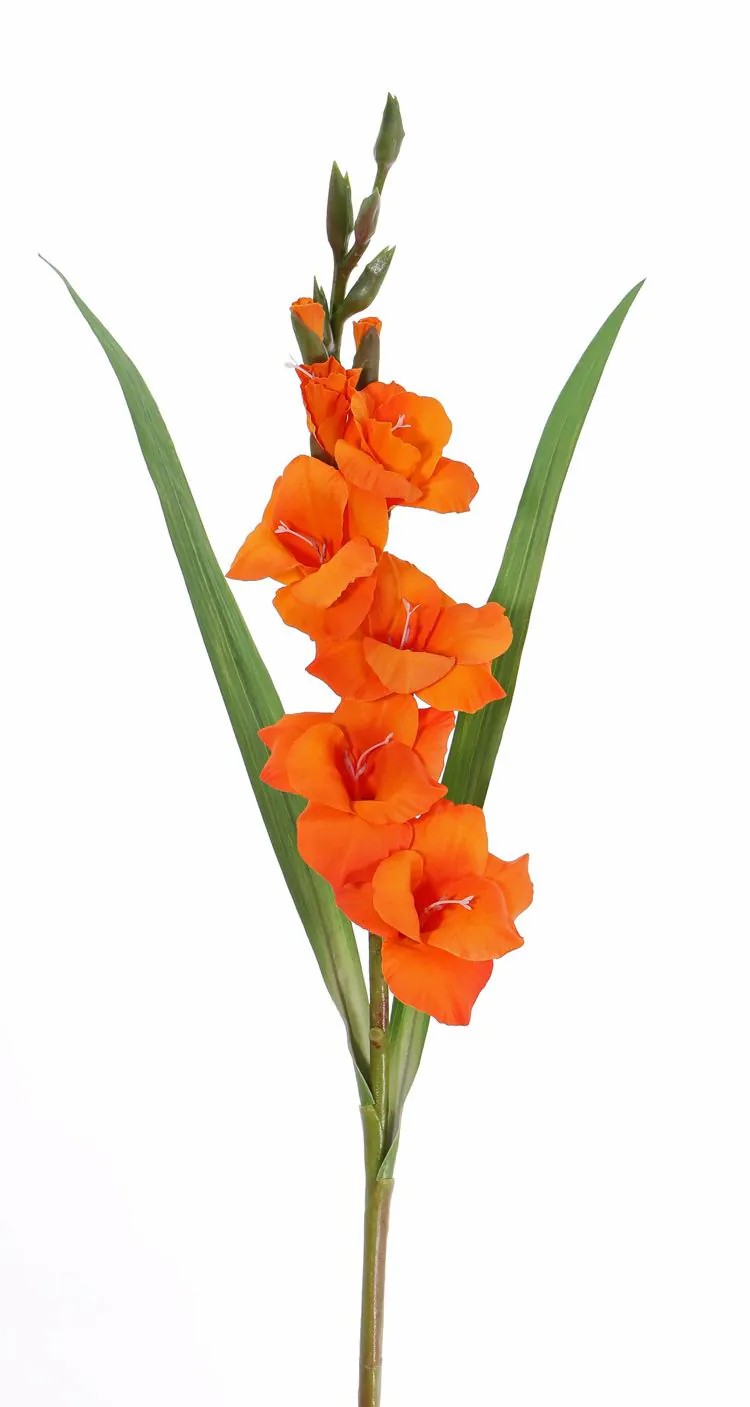 Gladiolus | Artificial Gladiolus Elea, Orange, 33"/85Cm, Ø1.2"-4"/3-10Cm Artificial Flowers Gladiolus