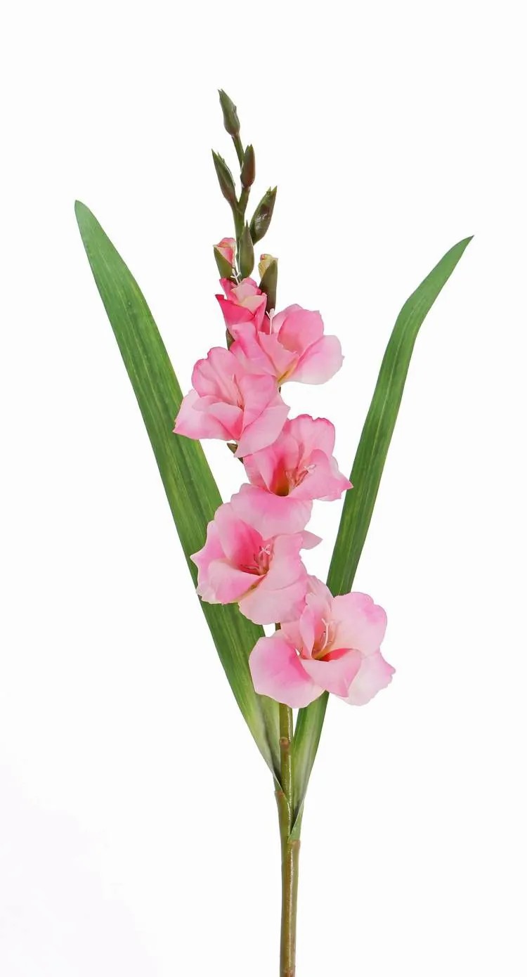 Gladiolus | Fake Gladiolus Elea, Pink, 33"/85Cm, Ø1.2"-4"/3-10Cm Artificial Flowers Gladiolus