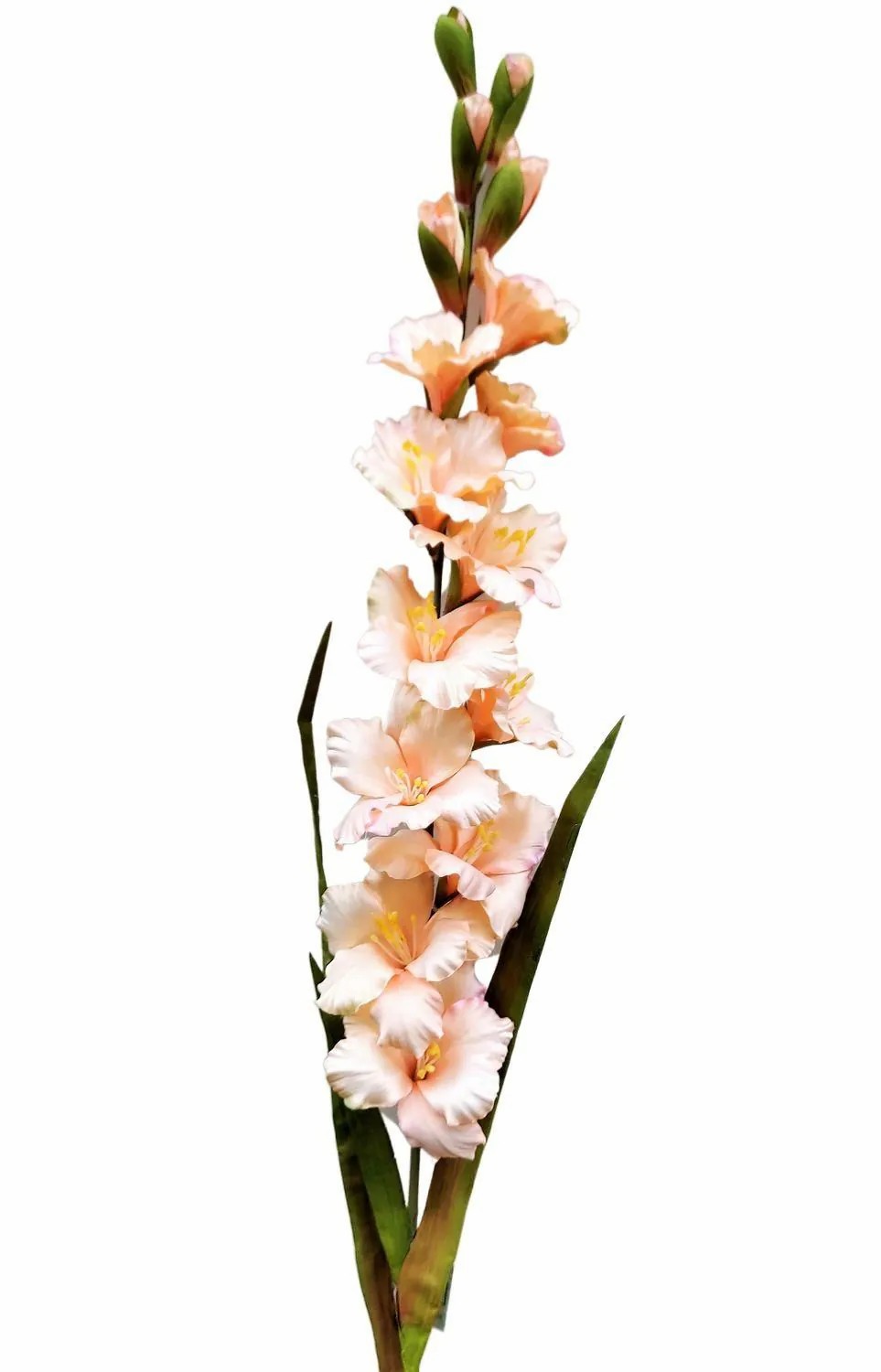 Gladiolus | Plastic Flower Gladiolus Theophora, Apricot-Pink, 4Ft/110Cm Artificial Flowers Gladiolus