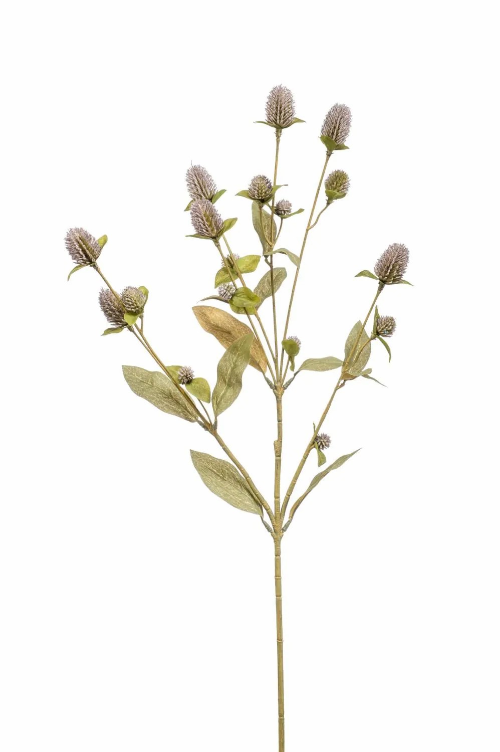 Globe amaranth | Artificial Flower Globe Amaranth Orinta, Lilac-Cream, 28"/70Cm Artificial Flowers Globe amaranth