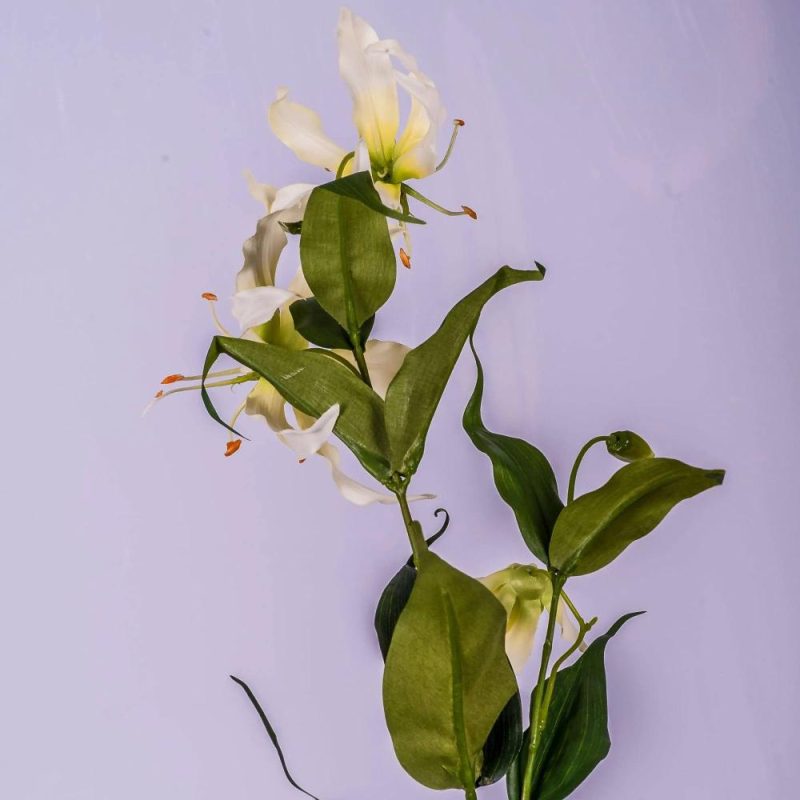 Gloriosa | Fake Gloriosa Fujita, Cream-Green, 31"/80Cm, Ø6"/15Cm Artificial Flowers Gloriosa