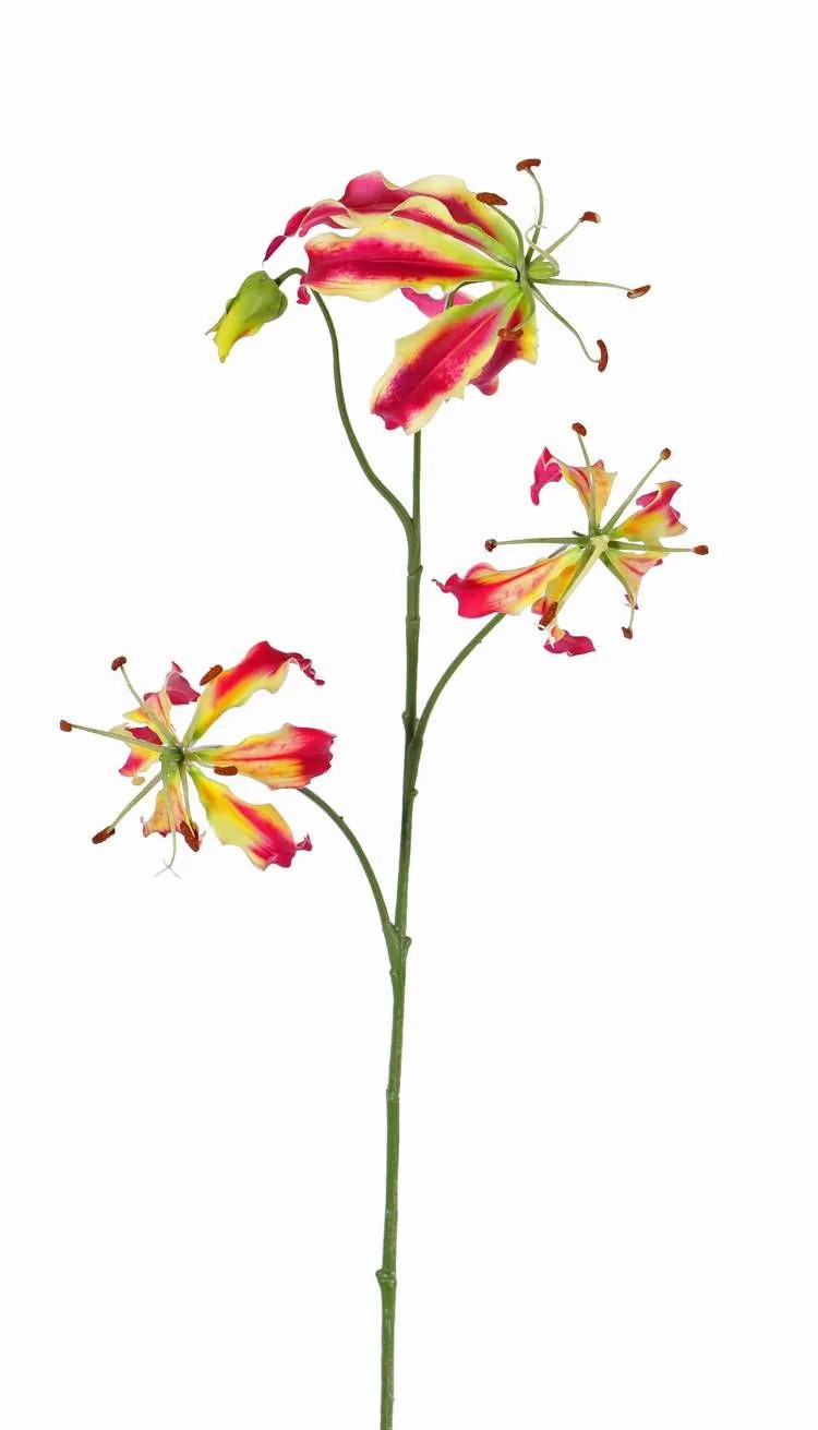 Gloriosa | Fake Gloriosa Tiana, Pink-Green, 31"/80Cm, Ø3.1"-6"/8-15Cm Artificial Flowers Gloriosa