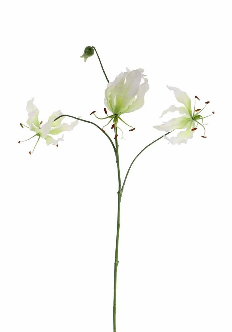 Gloriosa | Fake Gloriosa Tiana, White-Green, 31"/80Cm, Ø3.1"-6"/8-15Cm Artificial Flowers Gloriosa