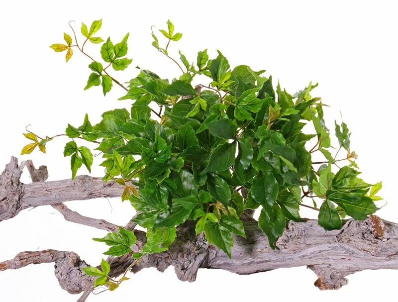 Grape vine | Artificial Grapevine Hanging Plant Ricco, Spike, Crossdoor, Green, 12"/30Cm Artificial Plants Grape vine