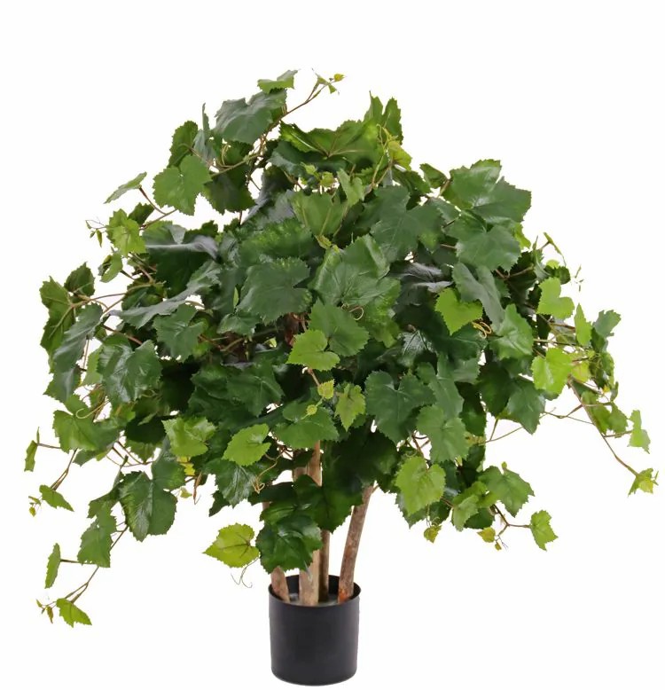 Grape vine | Artificial Grapevine Jumper, Real Trunks, Crossdoor, Green, 31"/80Cm Artificial Plants Grape vine