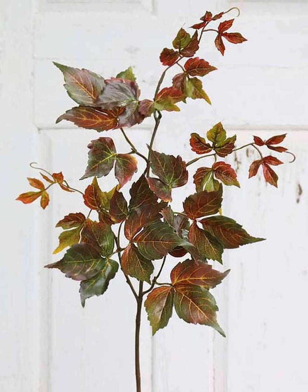 Grape vine | Artificial Virginia Creeper Branch Flodina, Red-Green, 28"/70Cm Artificial Plants Grape vine