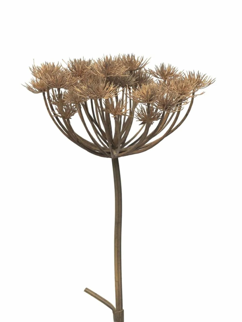 Hogweed | Artificial Heracleum Mianyan, Brown-Grey, 3Ft/100Cm Artificial Flowers Brown