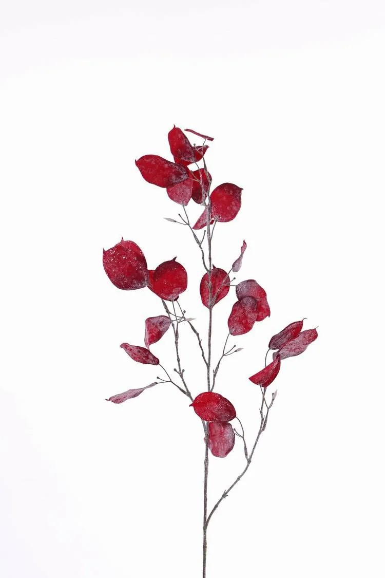 Honesty | Artificial Honesty Spray Trond, Frosted, Red, 3Ft/105Cm Artificial Plants Honesty