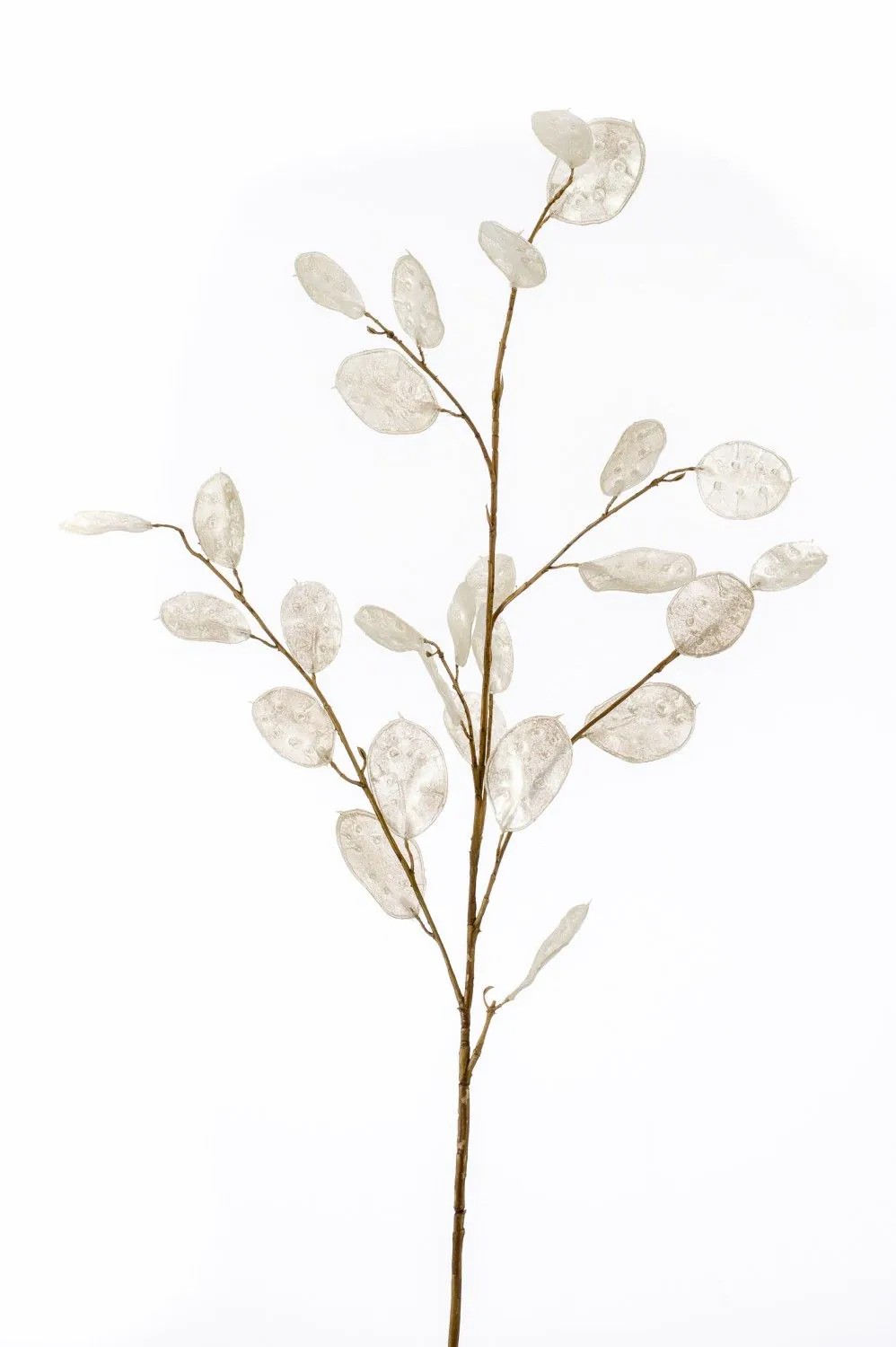 Honesty | Artificial Lunaria Branch Buelna, Cream, 3Ft/105Cm Artificial Plants Honesty