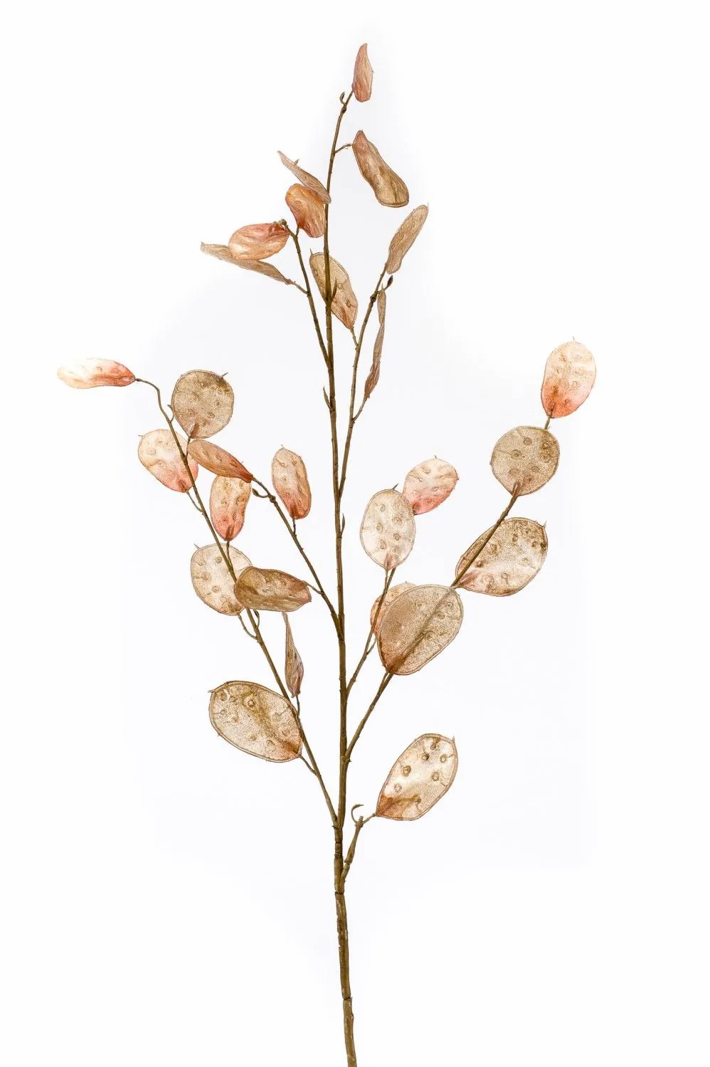 Honesty | Artificial Lunaria Branch Buelna, Light Brown, 3Ft/105Cm Artificial Plants Brown