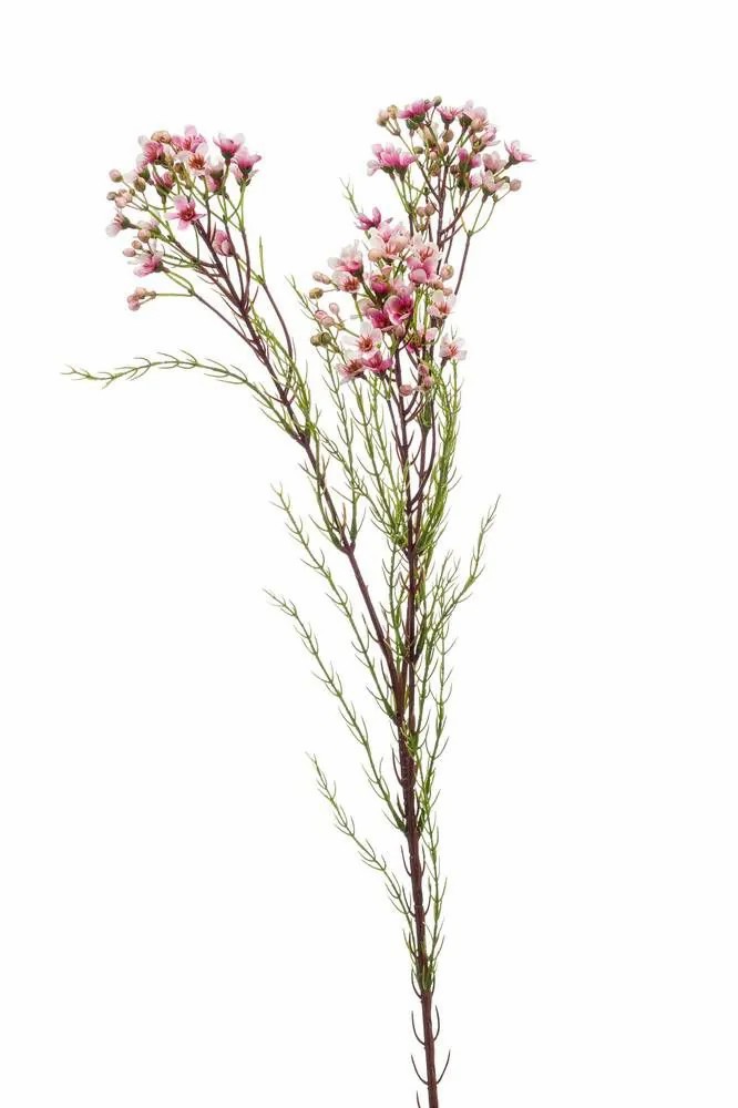 Honeywort | Artificial Wax Flower Medea, Light Pink, 31"/80Cm Artificial Flowers Honeywort