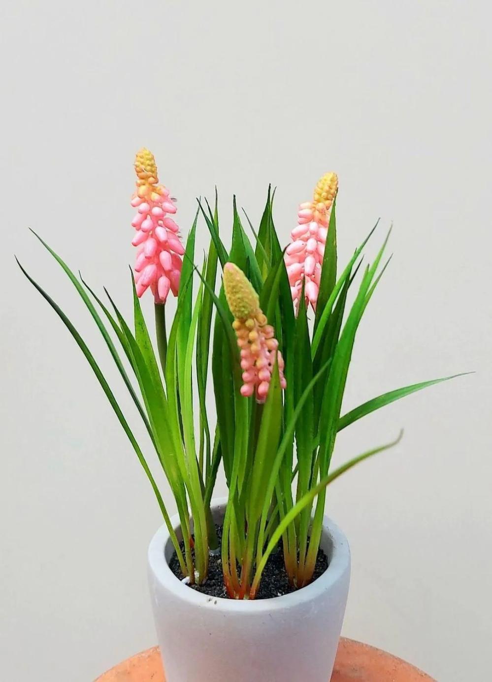 Hyacinth | Artificial Flower Grape Hyacinth Narmada In Cement Pot, Pink, 8"/20Cm Artificial Flowers Hyacinth